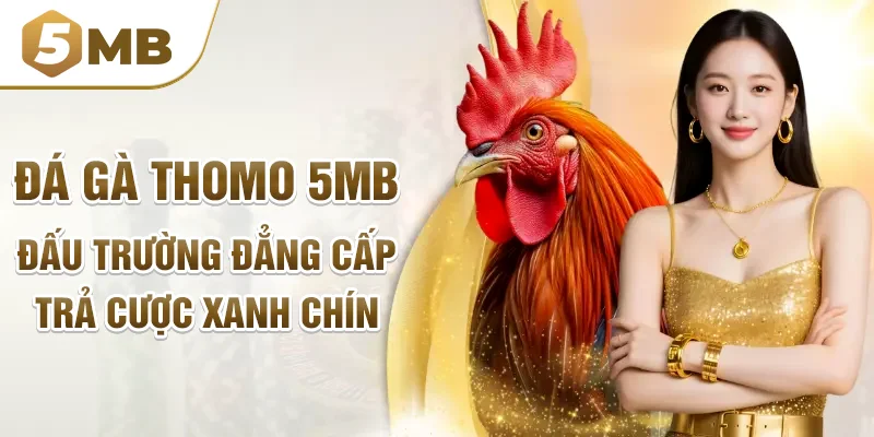 Đá Gà Thomo 5mb - Đấu Trường Đẳng Cấp, Trả Cược Xanh Chín