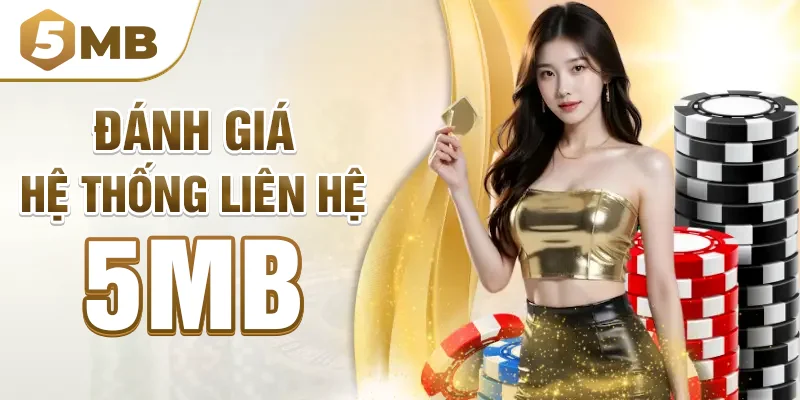 Đánh giá hệ thống liên hệ 5mb