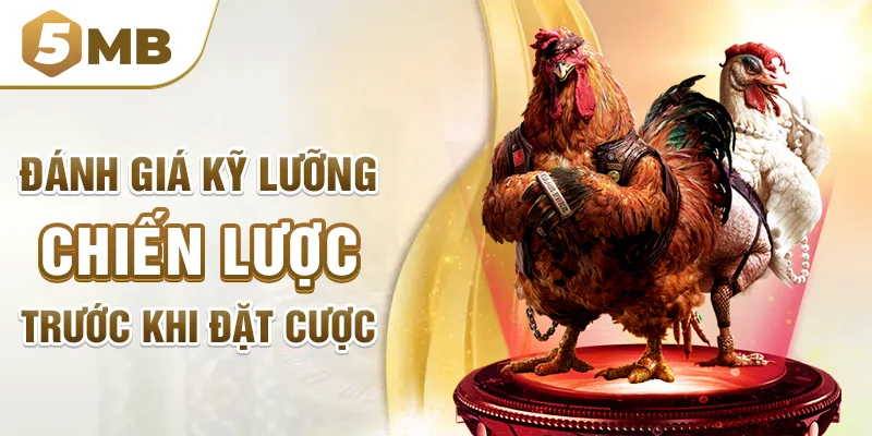 Đánh giá kỹ lưỡng chiến kế trước khi đặt cược