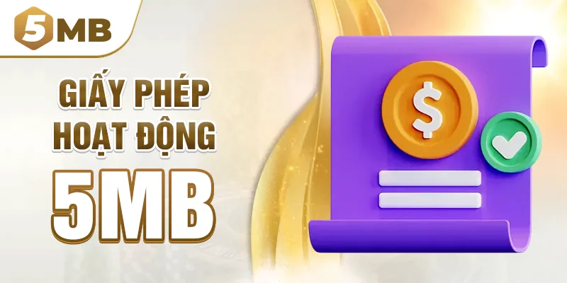 Giấy phép hoạt động 5mb