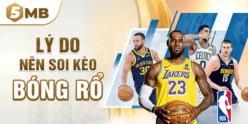 Lý do nên soi kèo bóng rổ