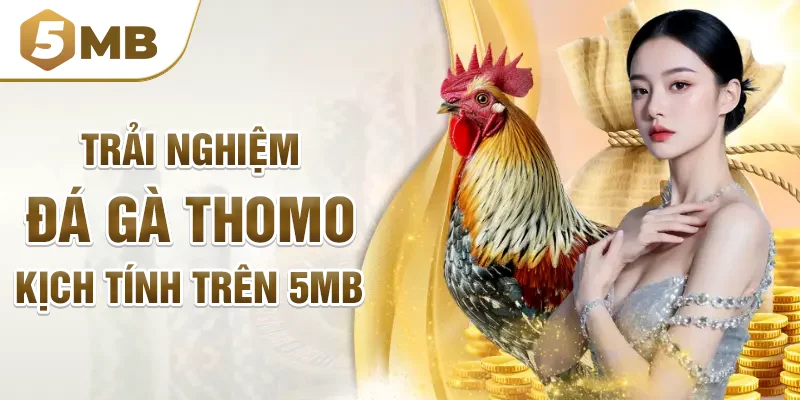 Trải nghiệm đá gà thomo kịch tính trên 5mb